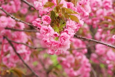 无锡线下个人借款平台一站式服务，轻松解决资金难题