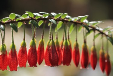 无锡零用贷短借：轻松解决临时资金需求