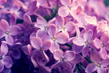 无锡企业急用钱贷款攻略：快速融资解燃眉之急